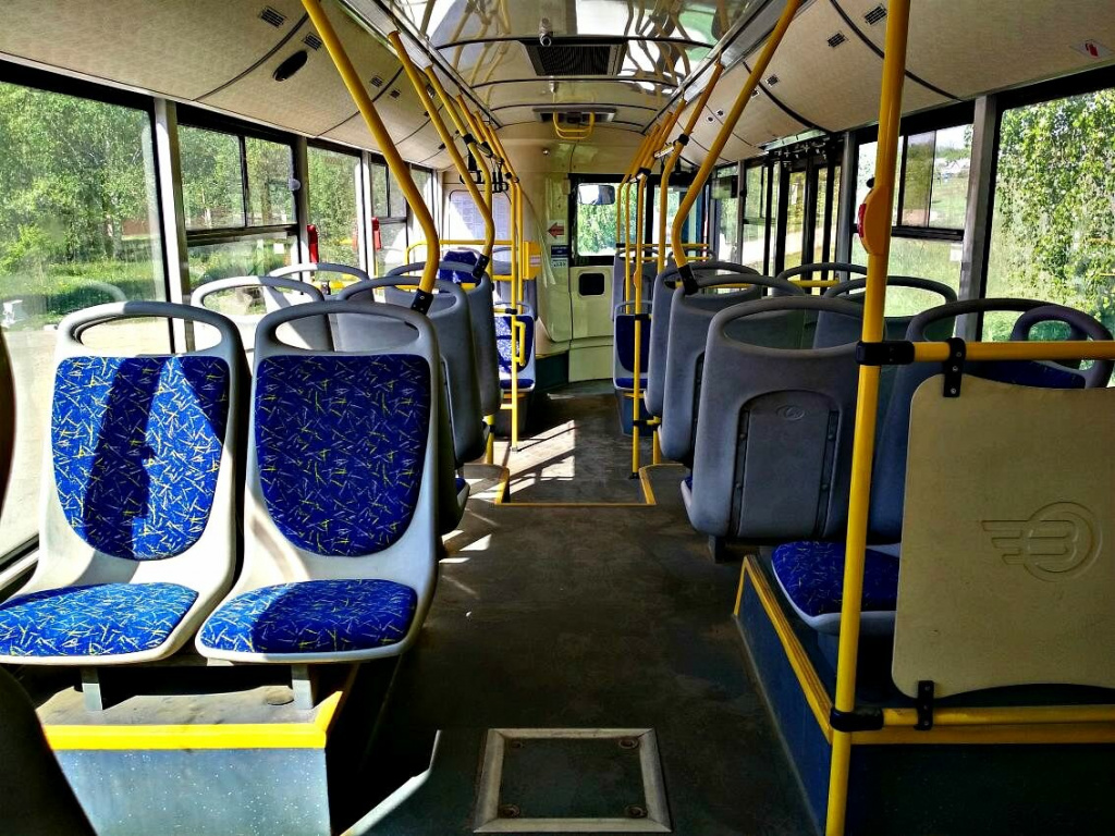 scale_1200 (1).jpg